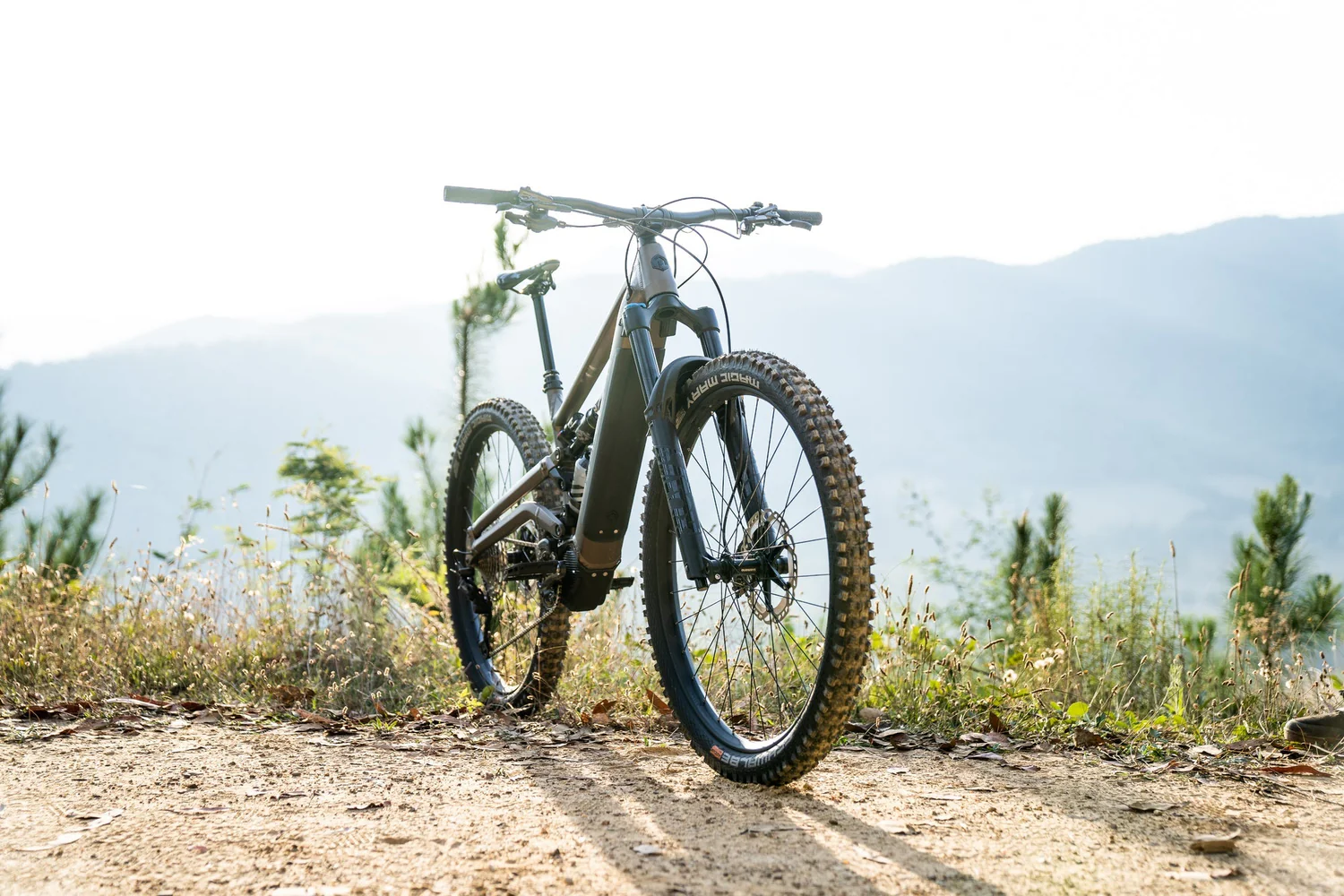 Polygon Collosus N8E - E-Mountain Bike - Image 2