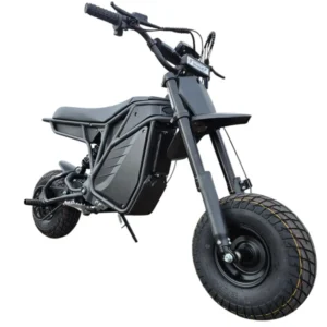 The Rizzler Electric Mini Bike by Electro & Company
